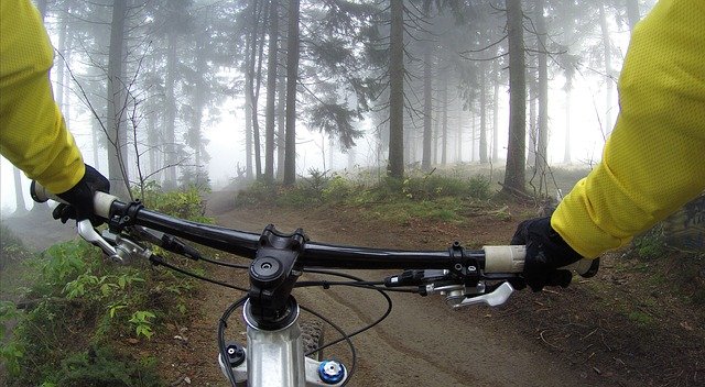 lesní cyklostezka
